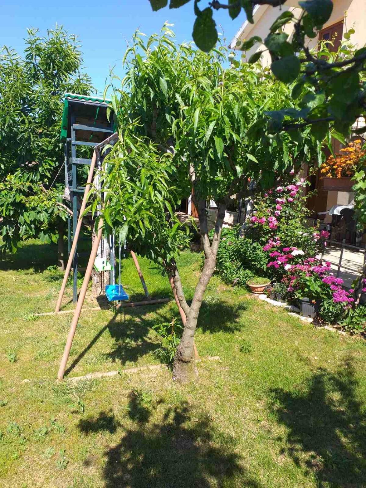 Lori Appartement Pula Buitenkant foto